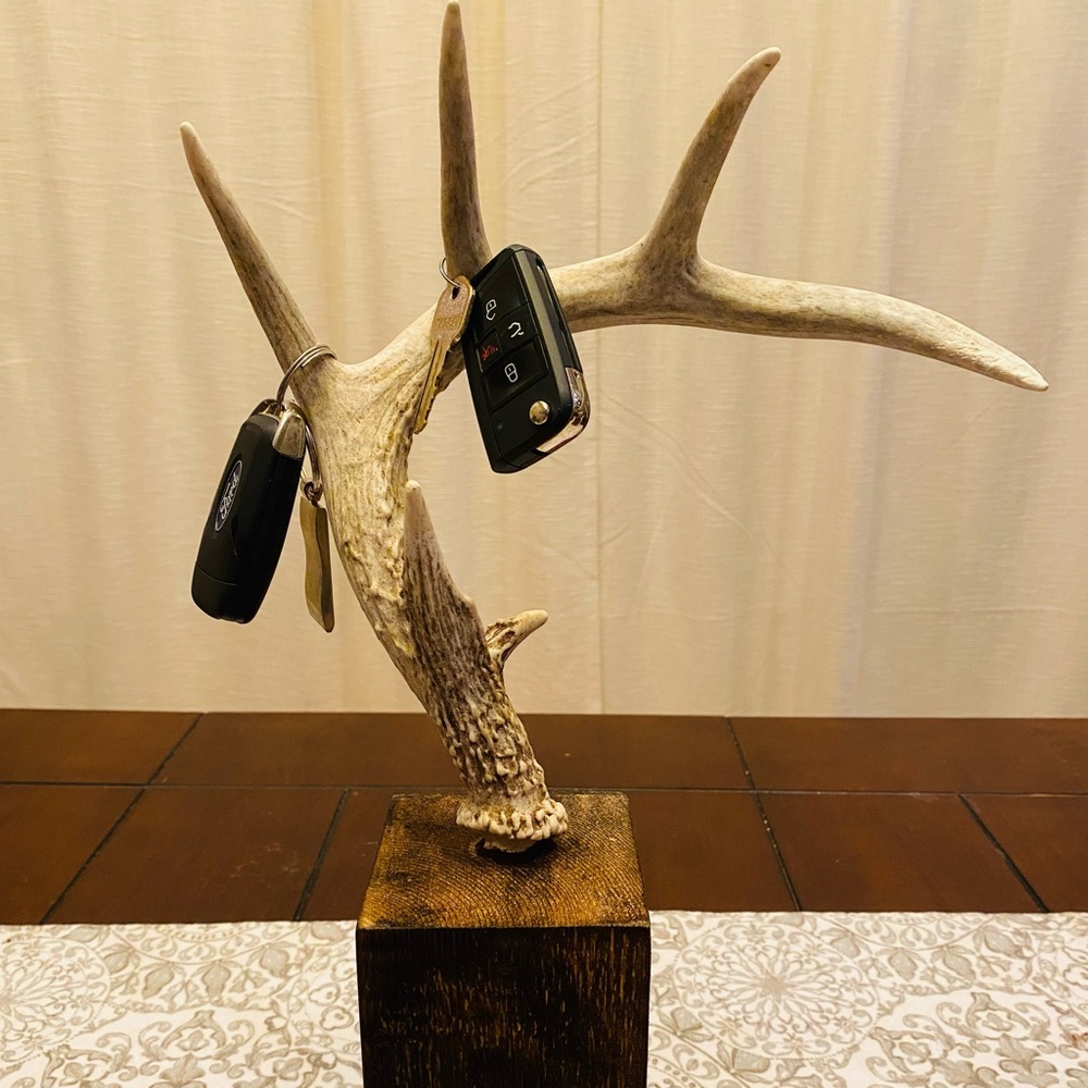 Farmhouse style- Whitetail Antler Decor